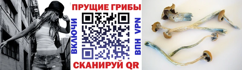 Псилоцибиновые грибы прущие грибы где продают наркотики Костомукша